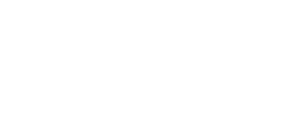 Dr. Finkl Logo